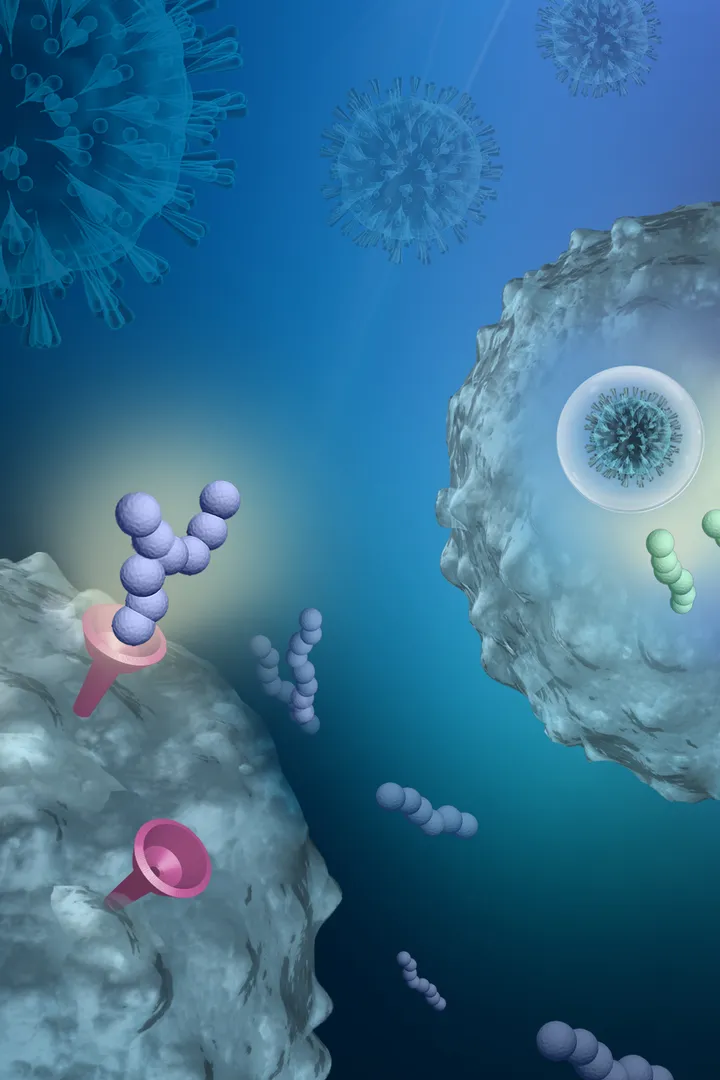Immunotherapy graphic