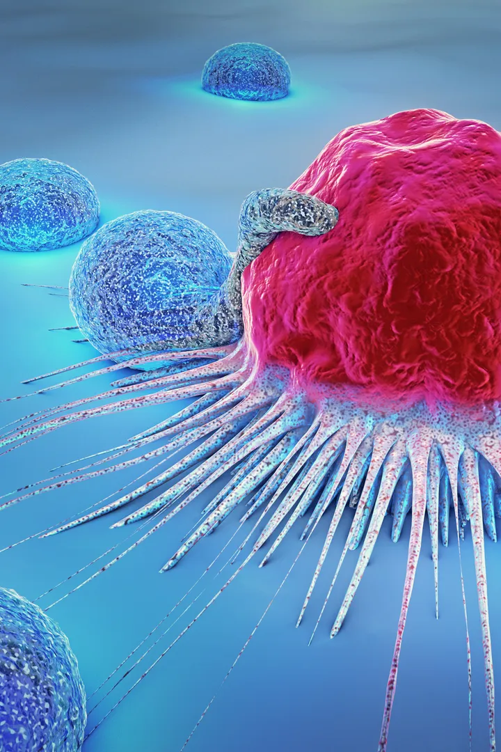 A cancer cell