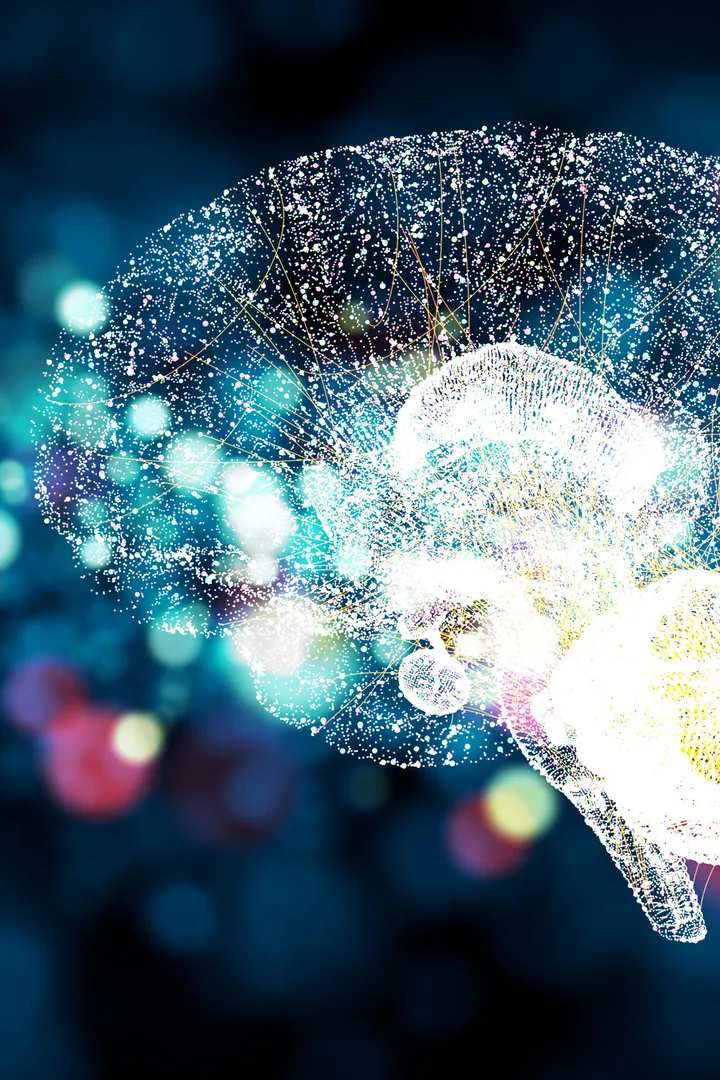 ADHD - graphic of a brain