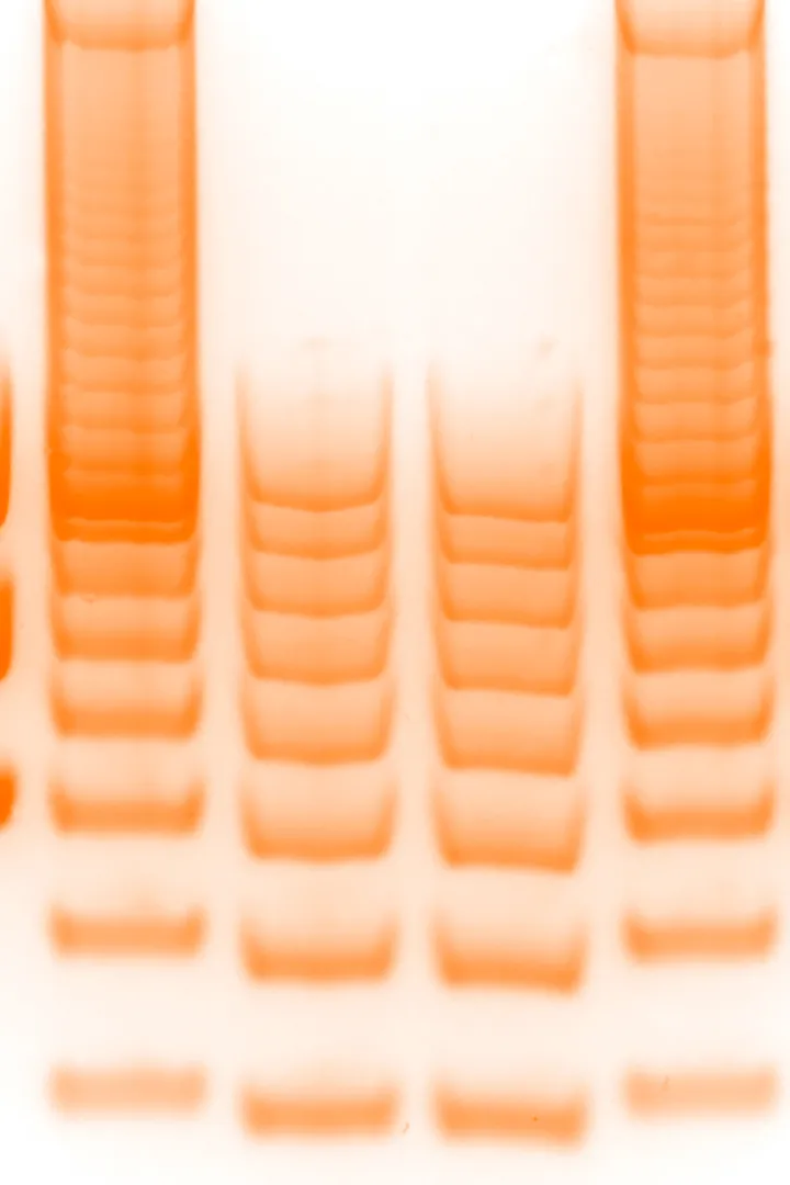 Test results