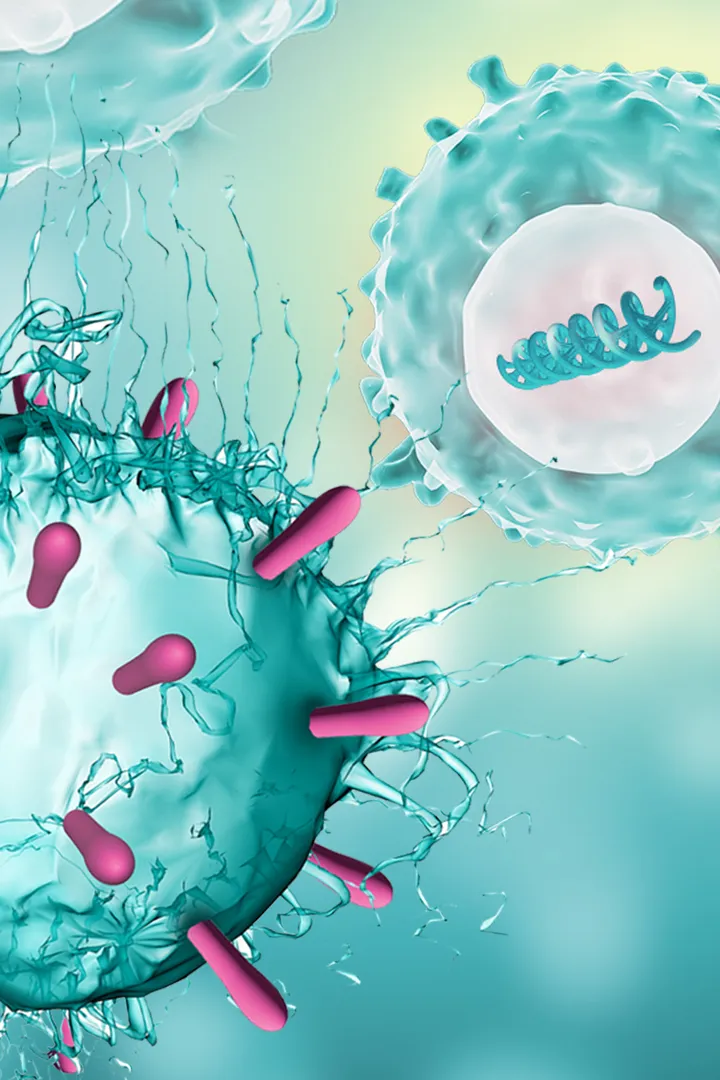 Blood cancer cell graphic