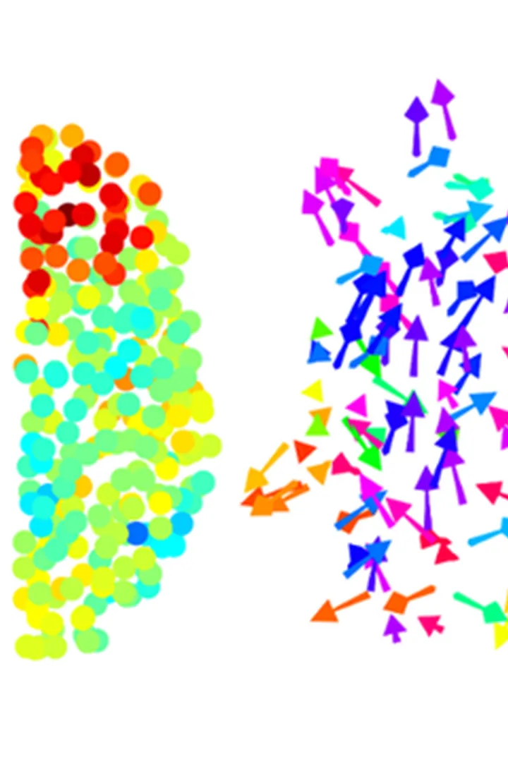 The Brain Modelling Group - web graphic