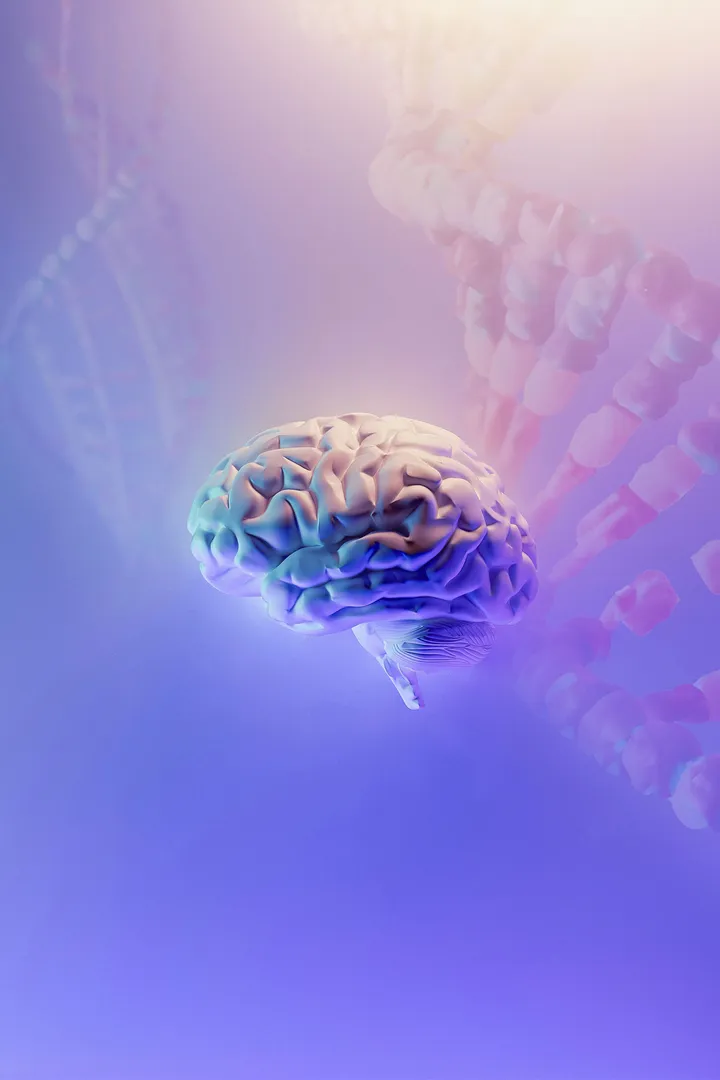 A human brain and DNA