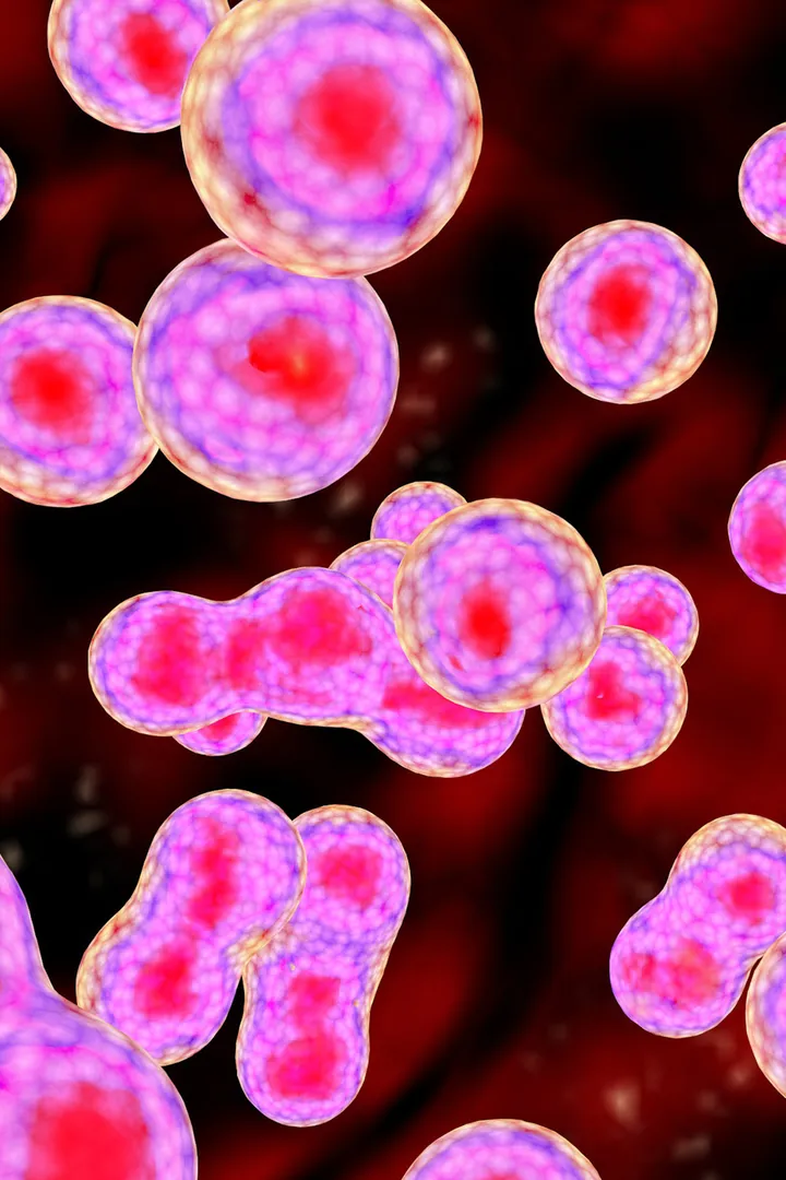 Breast cancer cells graphic