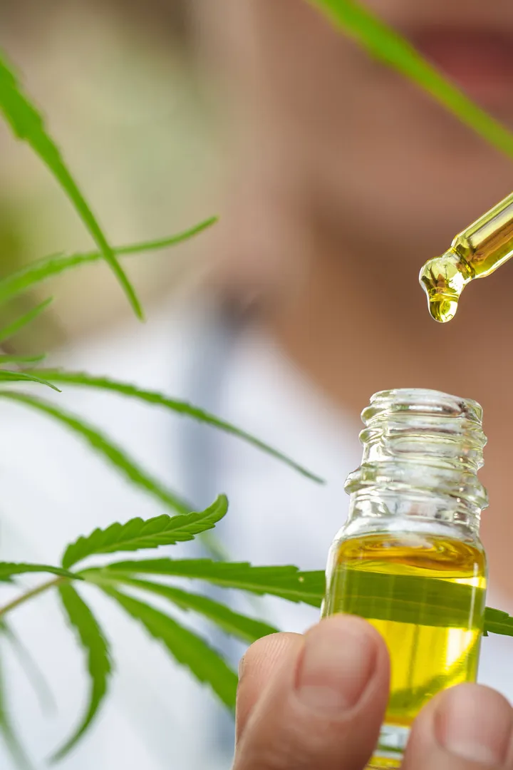 Cannabis oil as medicine