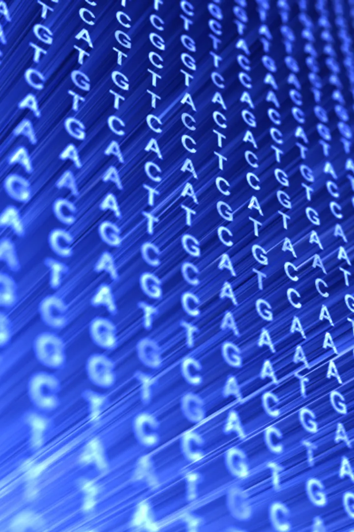 DNA code