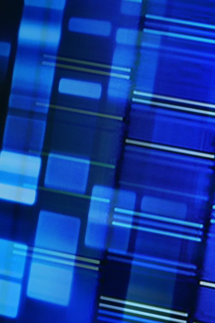 DNA testing strips