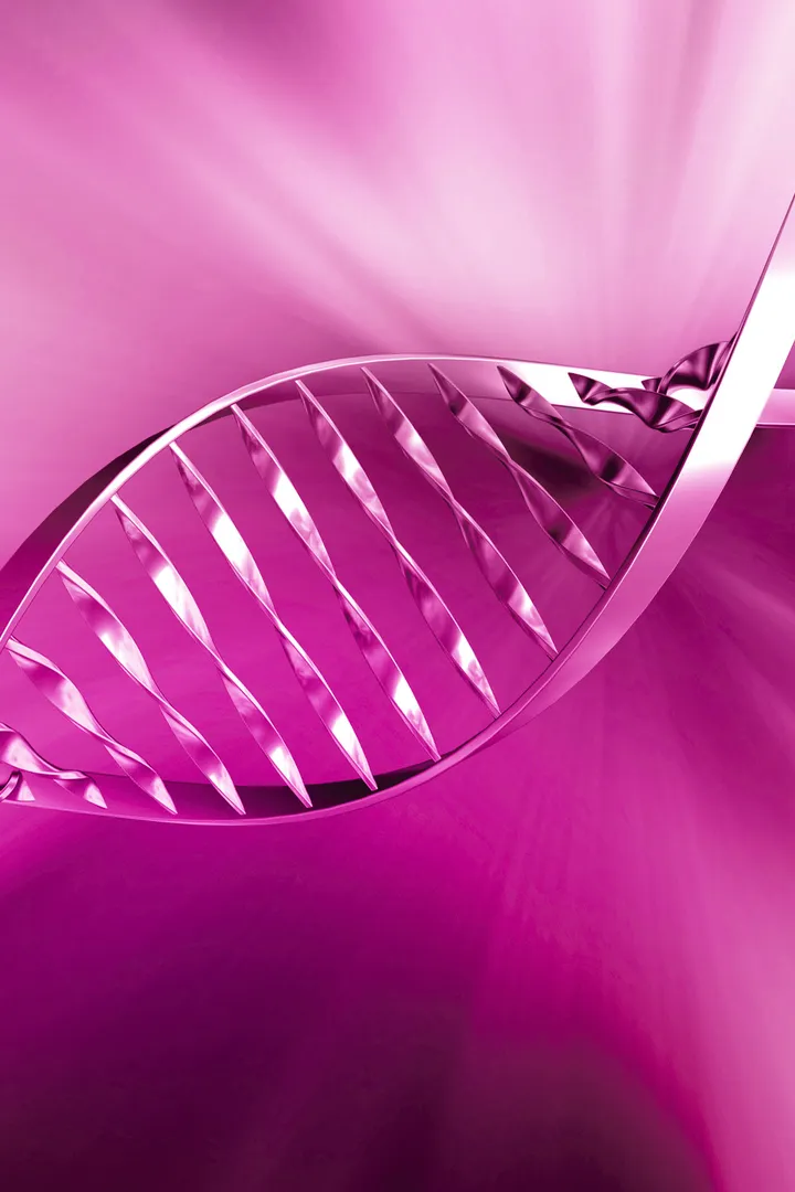 A pink DNA double helix