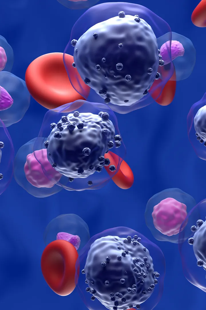 Epstein-Barr virus cells