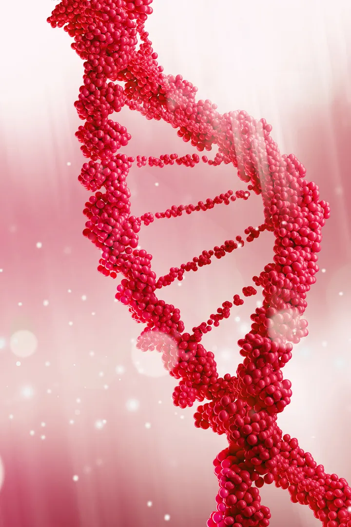 A DNA helix