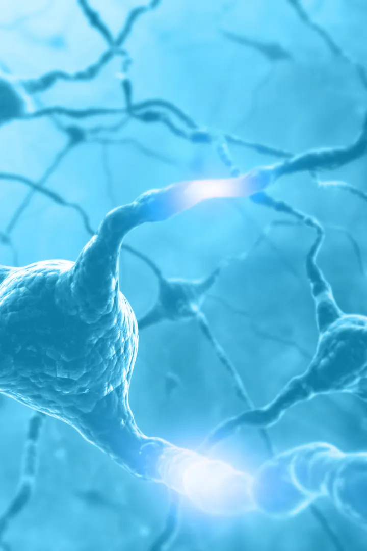 Connected neurons
