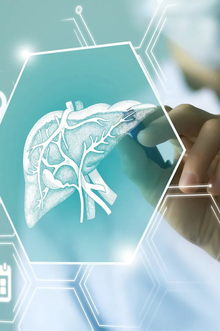 A liver cancer visualisation