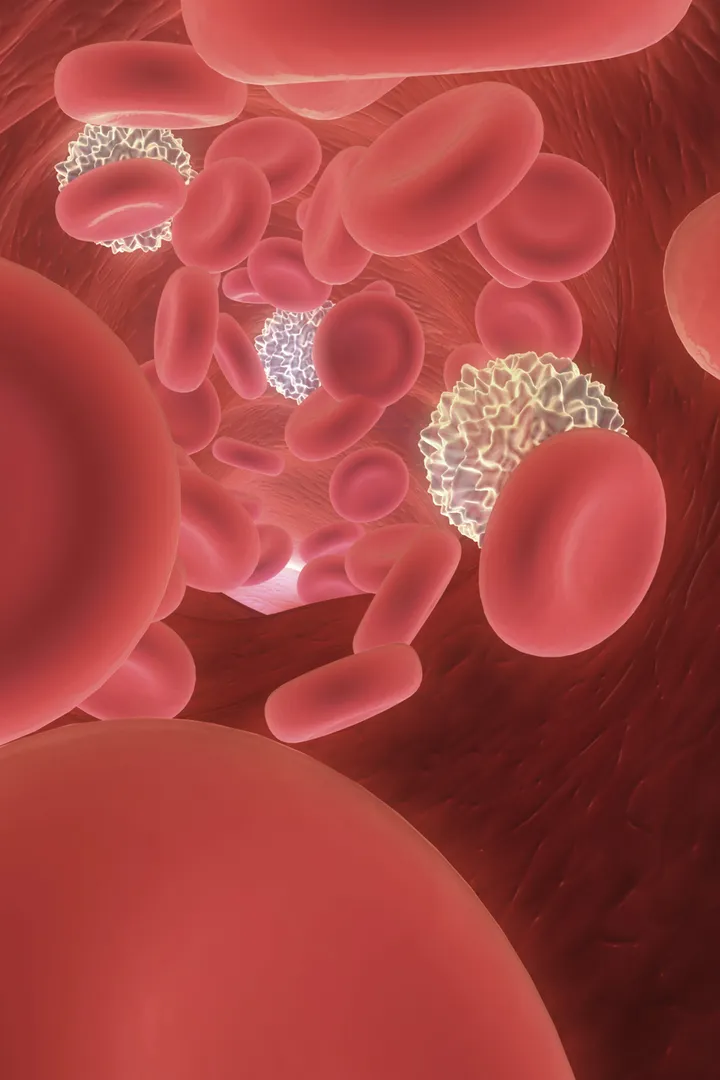 Lung cancer cells