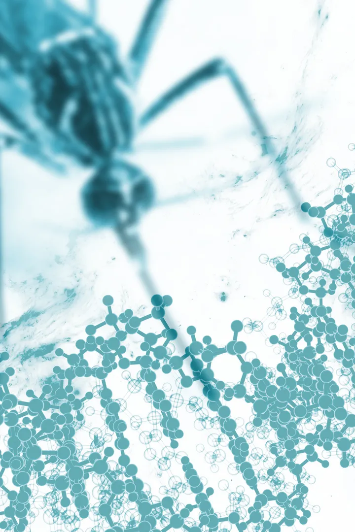 Mosquito Genomics Laboratory - web graphic