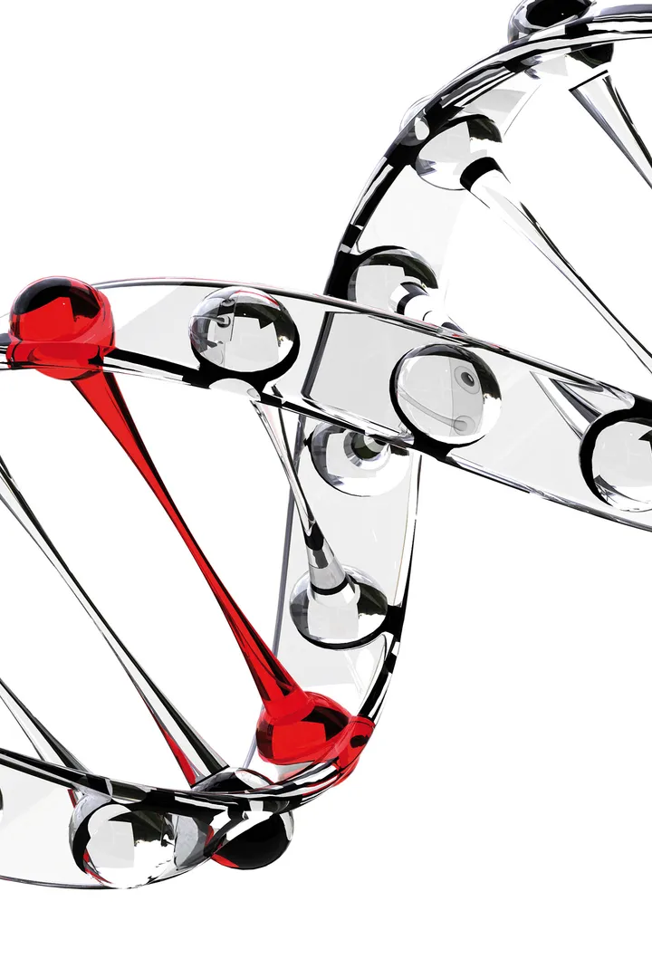 A DNA helix