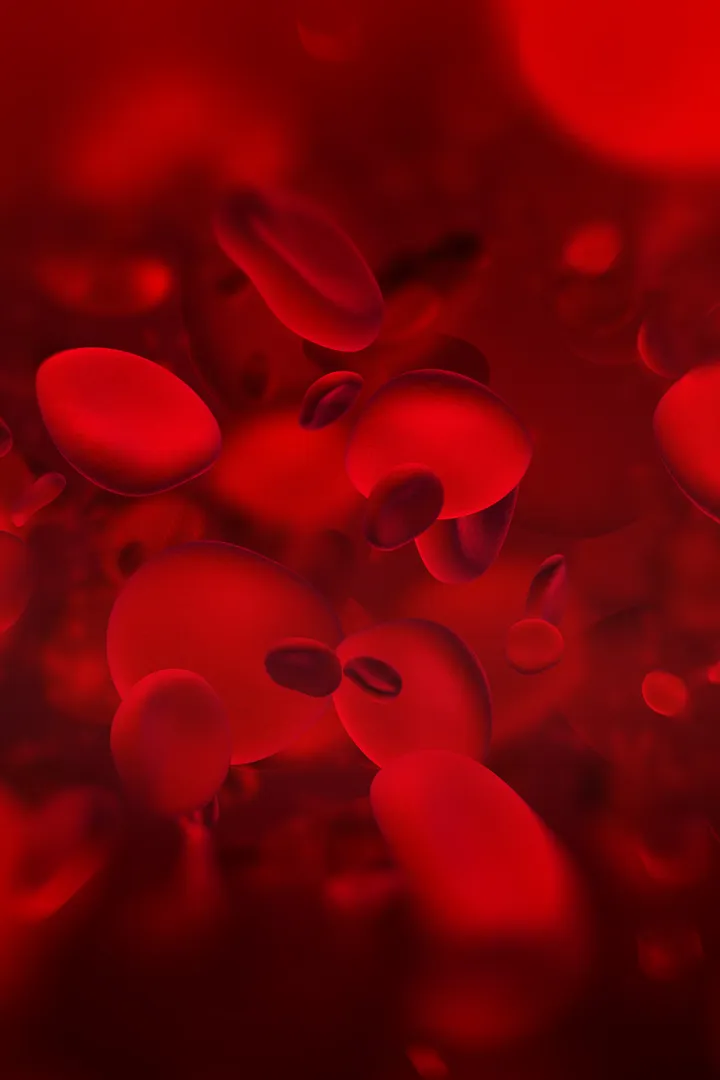 Red blood cells