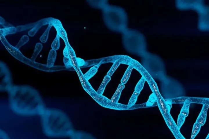 A DNA helix