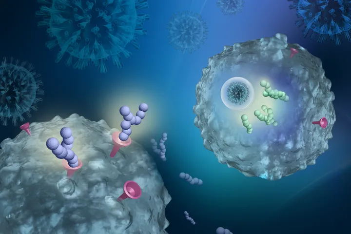 Immunotherapy graphic