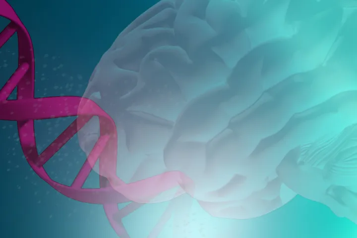 The Neurogenetics and Dementia Research Group - DNA and a brain graphic