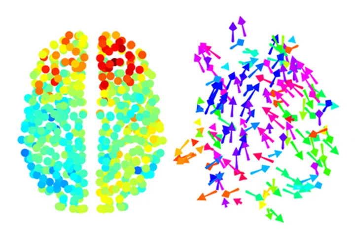 The Brain Modelling Group - web graphic