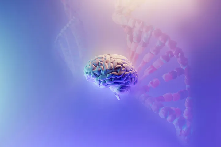 A human brain and DNA