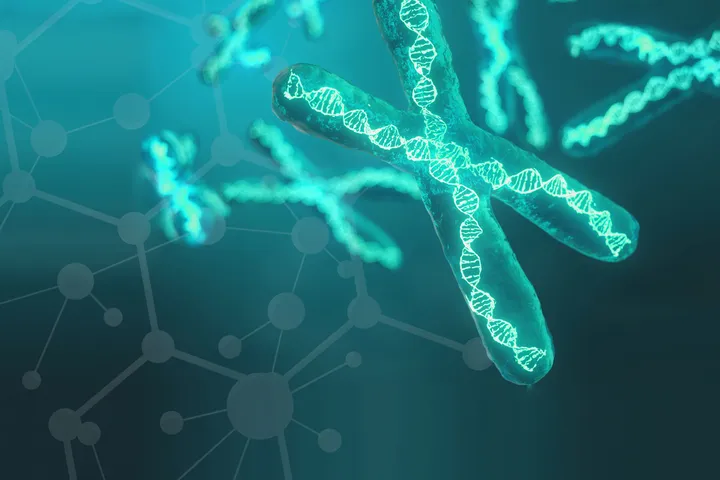 A graphic representation of DNA