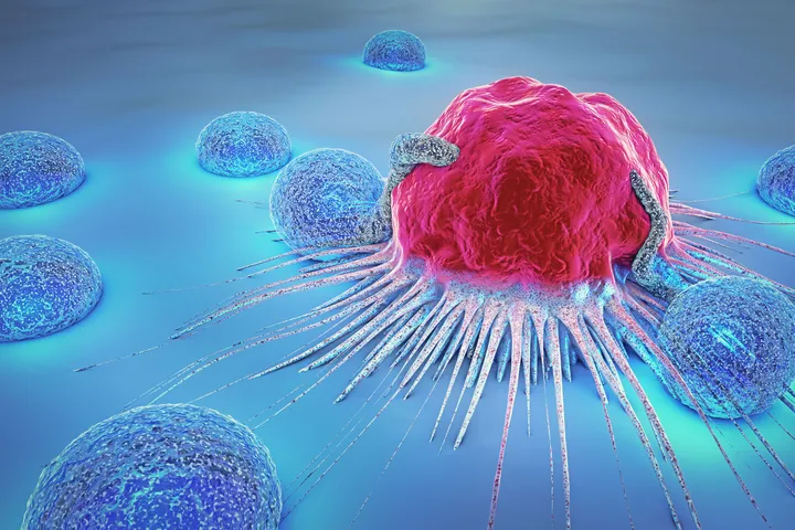 Cancer cells