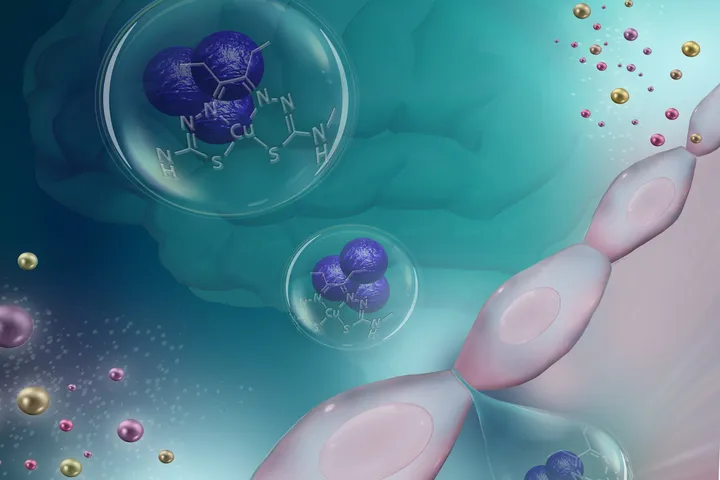 The Cellular and Molecular Neurodegeneration Laboratory - web graphic