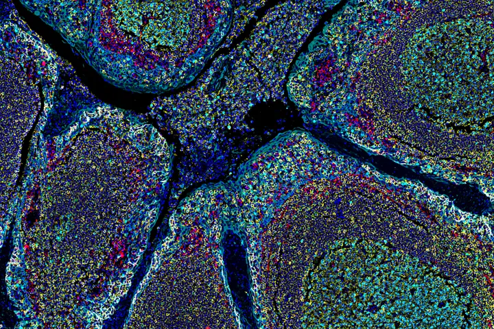 Microscopy Facility - cells under a microscope