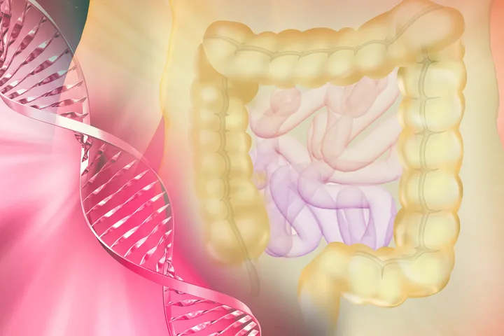 The Conjoint Gastroenterology Laboratory - web graphic