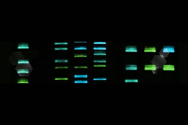Cell Line Quality Control Service - web graphic