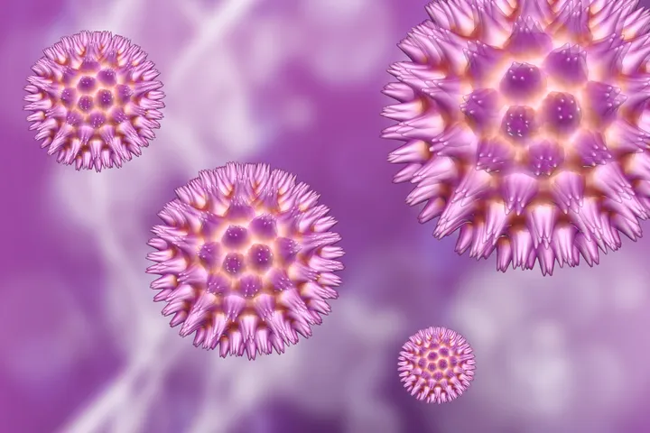 Cytomegalovirus - web graphic