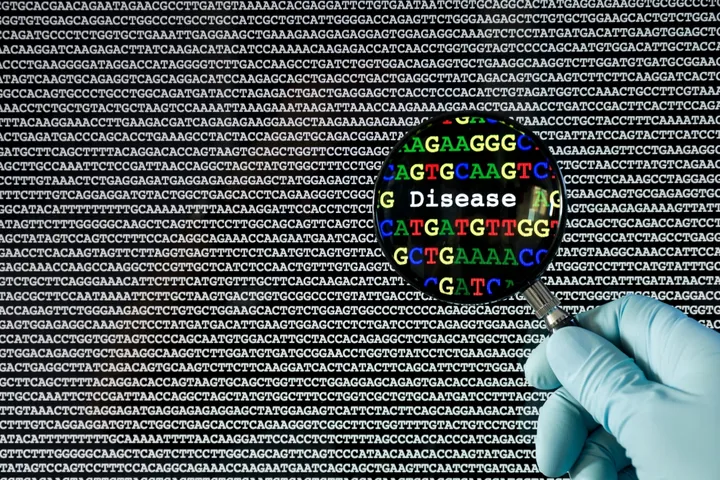 The Computational Neurogenomics Laboratory - DNA sequence