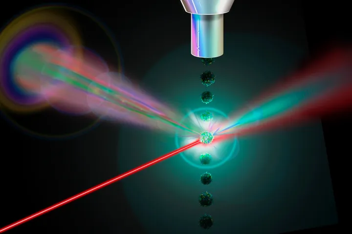 Flow Cytometry and Imaging Facility  - web graphic