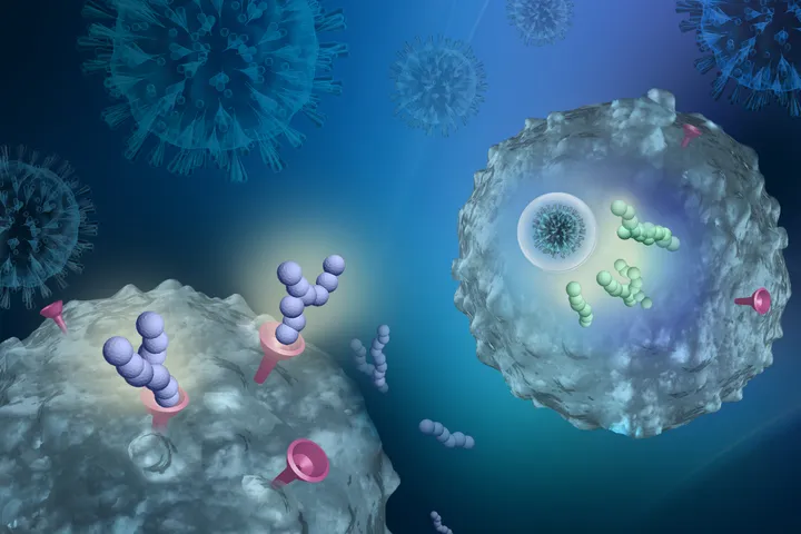The Gene Regulation and Translational Medicine Laboratory - web graphic