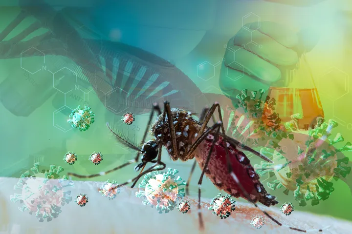 Global Health and Tropical Medicine - web graphic