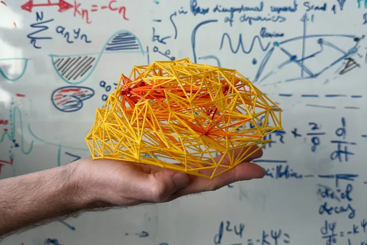 The Clinical Brain Networks Group - web graphic