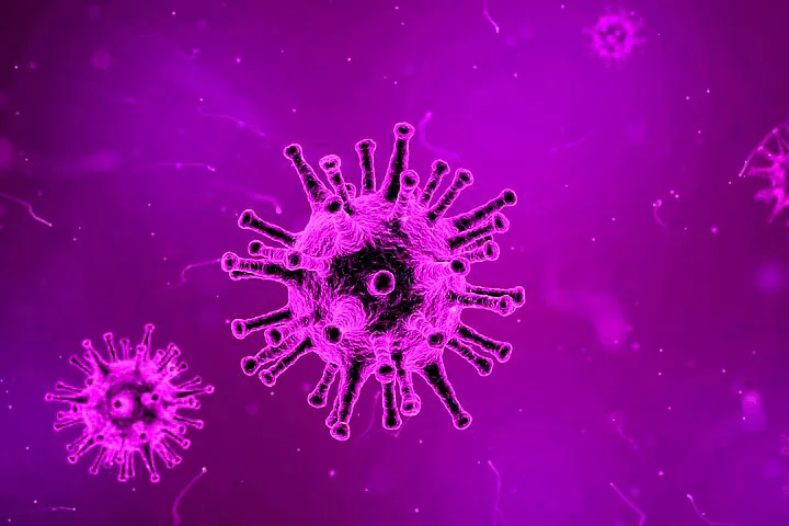 A COVID-19 virus