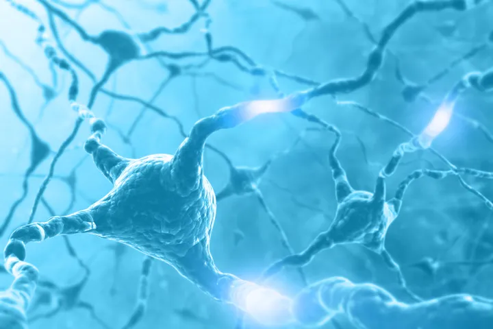 Connected neurons