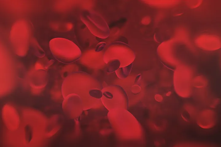 Molecular Nutrition Laboratory - web graphic