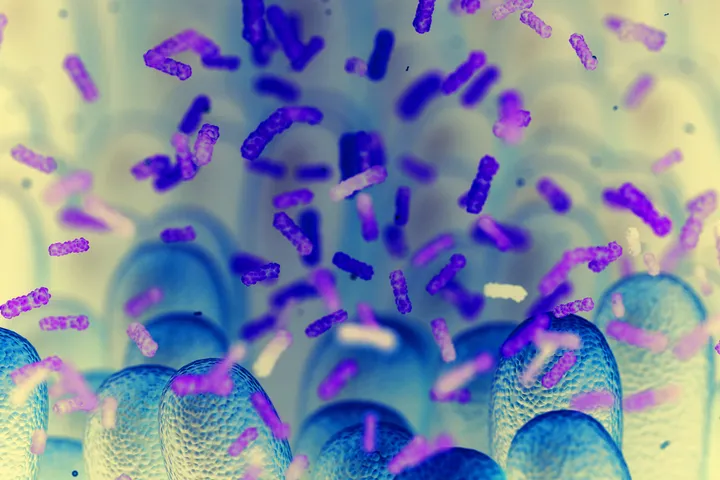 The Mucosal Immunology group - web graphic