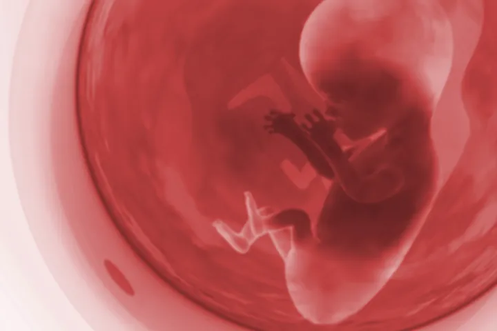 Perinatal Health - a baby in the womb