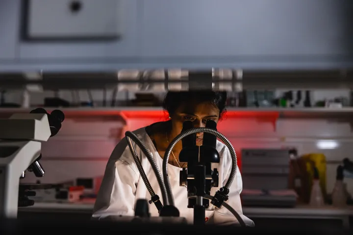 A female scientist looks down a microscope