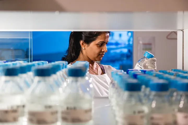 A QIMR Berghofer researcher