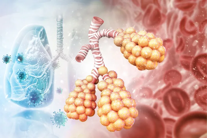The Respiratory Immunology Laboratory - web graphic