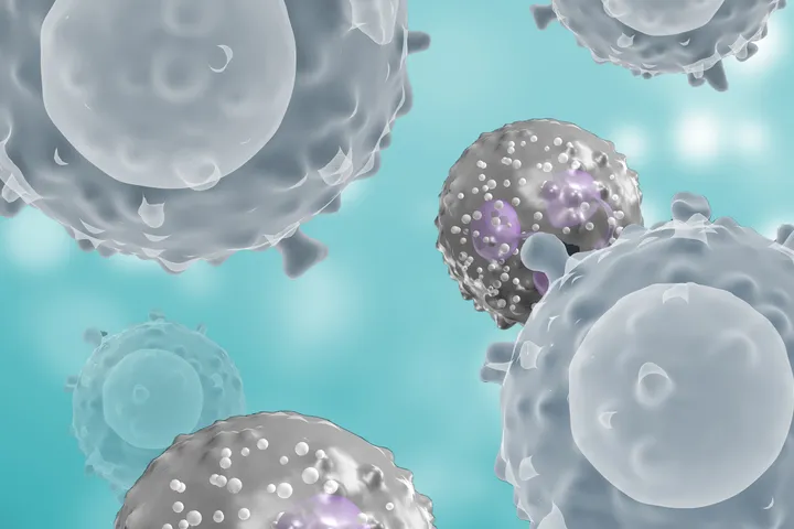 Translational and Human Immunology web graphic