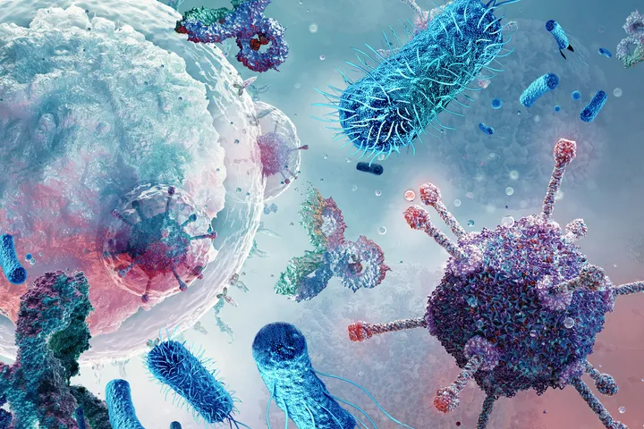The Transplantation Immunology Laboratory - web graphic