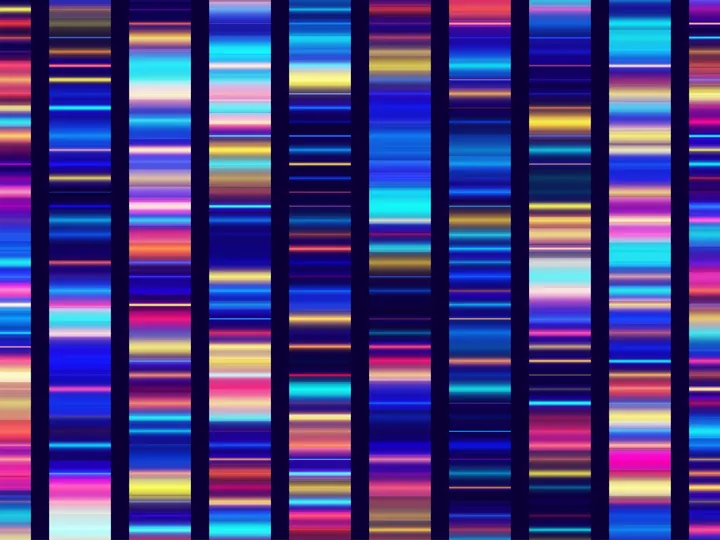 DNA sequencing genetic screening test strip