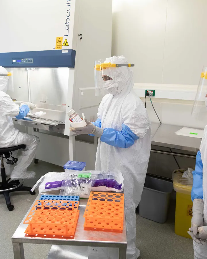 Researchers in the lab