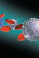 Cells graphic